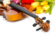 Violin and tulip flowers on white