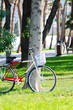 Bike bicycle in the park Bike bicycle in the park