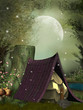 fairy house