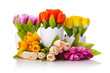 Tulips flowers isolated on the white Tulips flowers isolated on the white