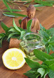 Mint oil