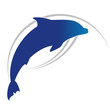 dolphin