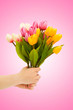 Hand with tulips on gradient