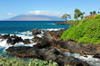 Beautiful Maui Beach Scene