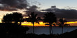 Maui Hawaii Pacific ocean palm tree sunset