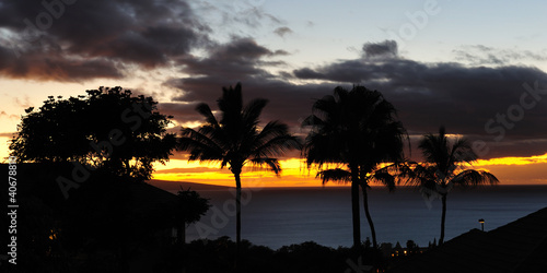 Photo: Maui Hawaii Pacific ocean palm tree sunset Maui Hawaii Pacific ocean palm tree sunset
