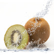 kiwi splash