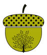 oak tree in acorn