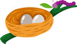 Worm with nest of eggs