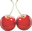 illustration of two isolated red cherries illustration of two isolated red cherries