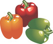 Green, yellow and red chili Green, yellow and red chili