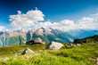mountain panorama from fiescheralp