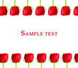 Red Rose frame with sample text on white background Red Rose frame with sample text on white background