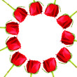 Red Rose frame as circle on white background Red Rose frame as circle on white background