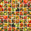 A collage of images with fresh fruits and vegetables A collage of images with fresh fruits and vegetables