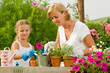 Gardening -  girl helping mother in flowers garden