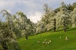 Frühling