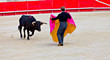 corrida à nîmes