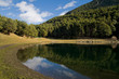 Foto: Lake in the forest Lake in the forest