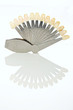 dente protesi colore