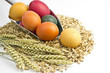 Bunte Eier und Getreide