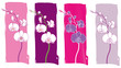 Orchids