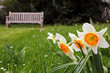 Frühling