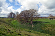 Avebury Ditch