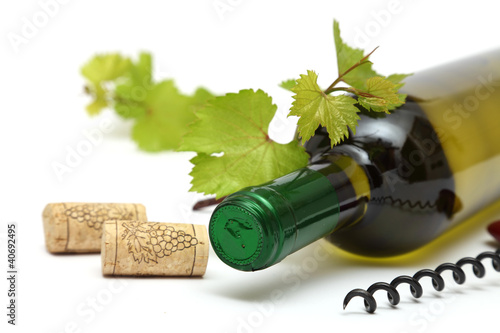 Foto: wine bottle and corks wine bottle and corks