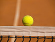 tennis ball tennis ball