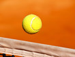 Foto: tennis ball tennis ball