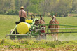 Amish farmer