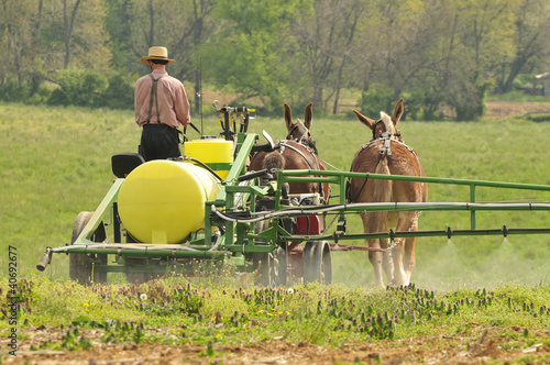 Photo: Amish farmer Amish farmer
