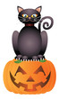 Halloween Cat Sitting on Pumpkin Illustration Halloween Cat Sitting on Pumpkin Illustration