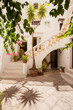 Cortile e Palma