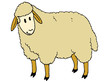 mouton