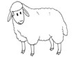 mouton