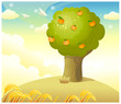 Tree With Oranges