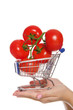 branch with tomatoes in shopping trolley on palm branch with tomatoes in shopping trolley on palm