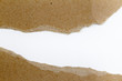 Ripped paper
