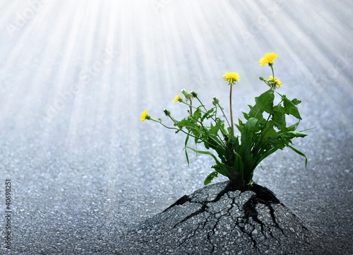 Photo: Bright Hope of Life Bright Hope of Life