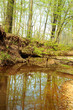 Landschaft 220