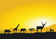 Abendstimmung in Afrika
