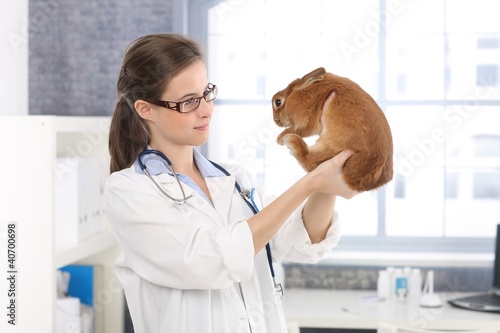Foto: Smiling vet examining rabbit Smiling vet examining rabbit
