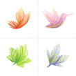 Collection of colorful design elements: butterfly, hummingbird,