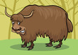 Yak bull Yak bull