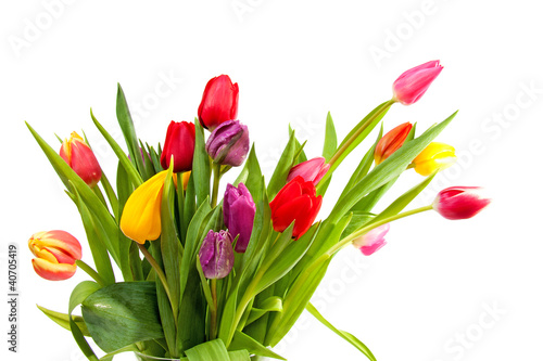 Photo: Bouquet of colorful Dutch tulips Bouquet of colorful Dutch tulips