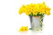 daffodils