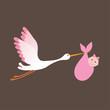 A cartoon illustration of a stork delivering a newborn baby girl