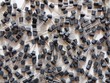 Background with components of electronics - black transistors